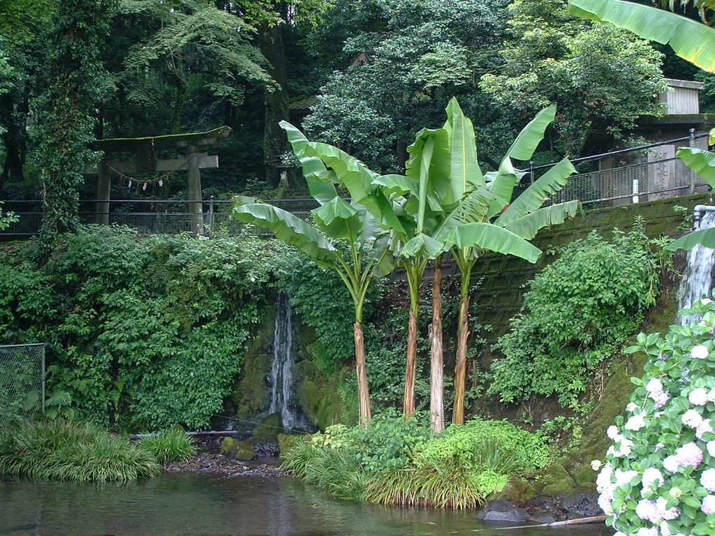潮井(しおい)水源