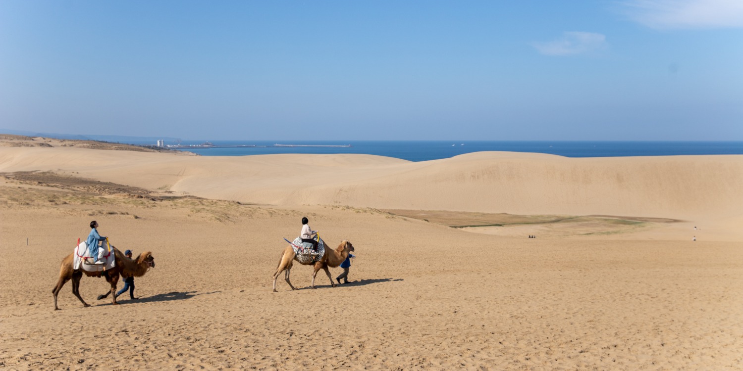 鳥取砂丘